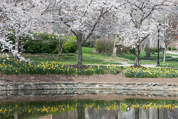 Springlake-15