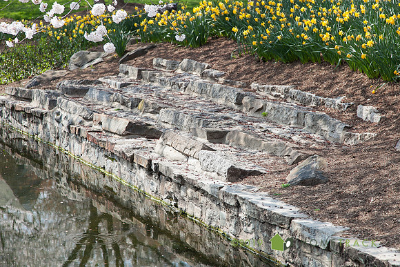 Springlake-41
