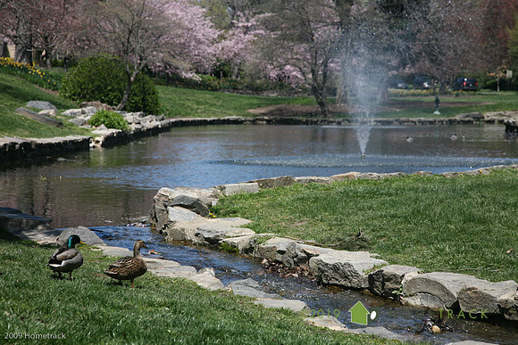 SpringlakeHomeland122