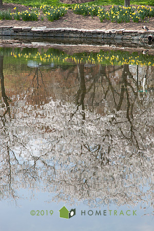 Springlake-37