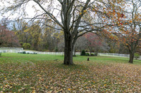 6609DeerParkRoad-9