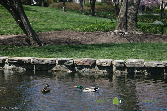 SpringlakeHomeland131