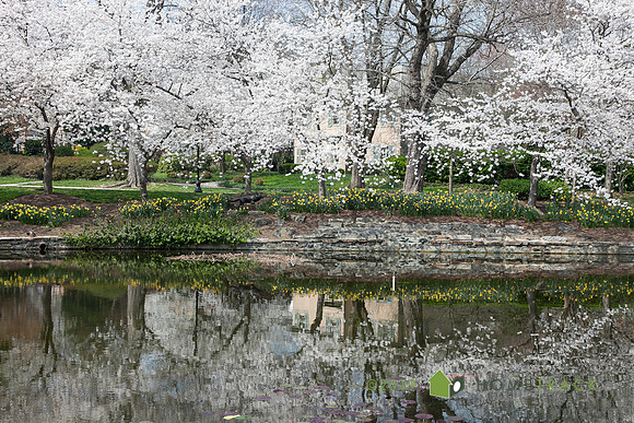 Springlake-12