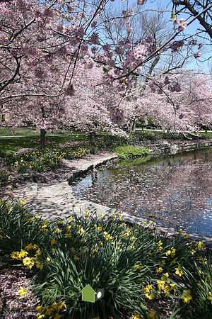SpringlakeHomeland024