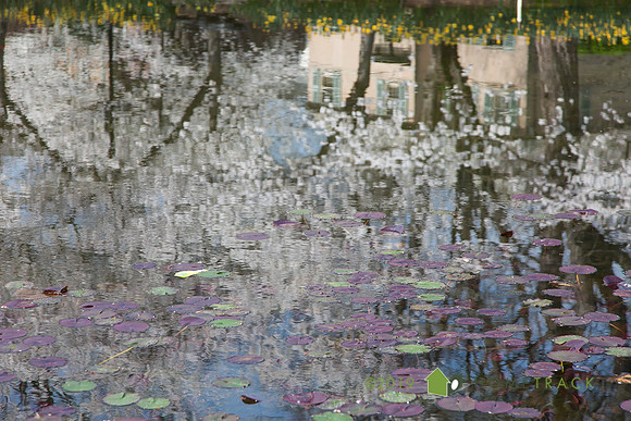 Springlake-10
