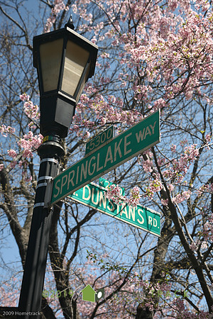 SpringlakeHomeland068