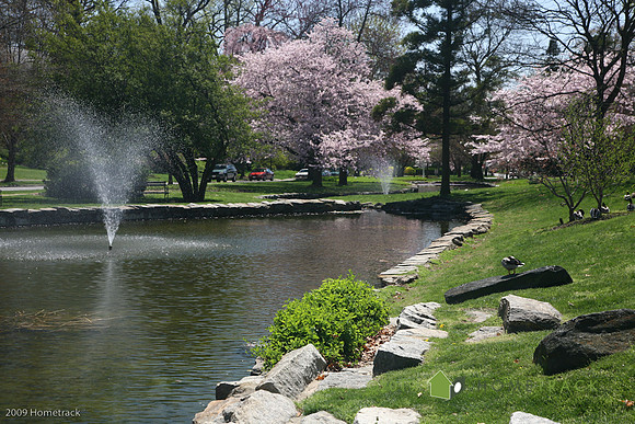 SpringlakeHomeland101